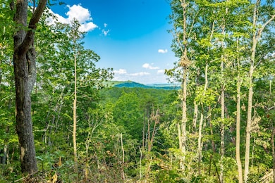 0 Clearview Dr unit RTC2683557, Ringgold, GA 30736 - photo 2