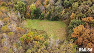 484 Hummingbird Dr, Louisville, IL 62858 - photo 3