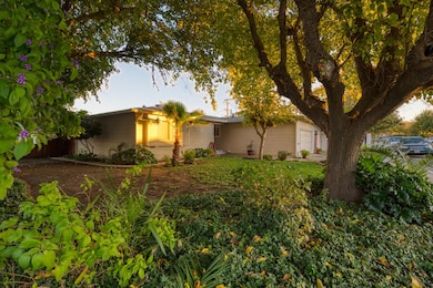 902 Waller St, Gustine, CA 95322 - photo 5