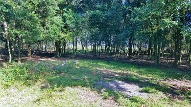 0 Litchfield Loop unit P4913211, Winter Haven, FL 33884 - photo 5