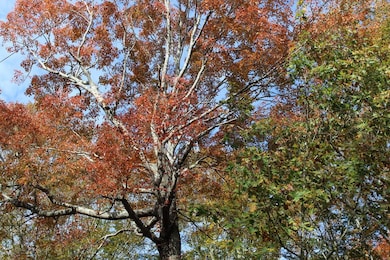 Gosser Ridge Spur, Russell Springs, KY 42642 - photo 7