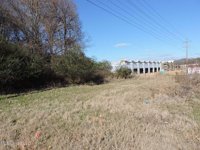 4875 Highway 305, Olive Branch, MS 38654 - photo 6