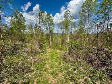 Tbd Edith Gouge Rd unit LotWP001, Unicoi, TN 37692 - photo 6