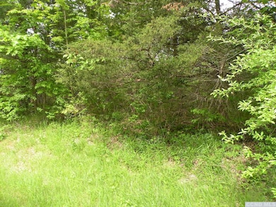 0 Route 9h Oldpost Rd unit 156889, Ghent, NY 12075 - photo 6