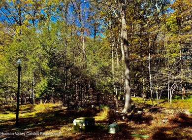 44 Falling Waters Dr, Palenville, NY 12463 - photo 6