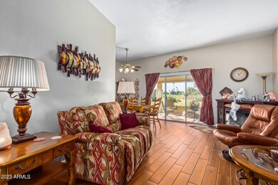 17838 N 102nd Dr, Sun City, AZ 85373 - photo 6