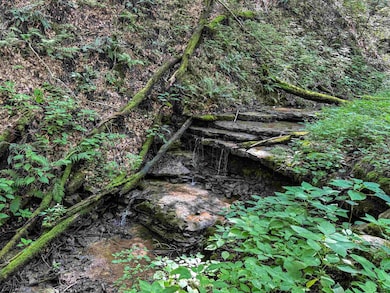 TBD Scenery Hill Rd, Wellsburg, WV 26070 - photo 4