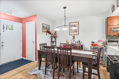 4704 Euclid Ave unit 1B, Rolling Meadows, IL 60008 - photo 6