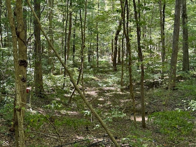 0000 S Big Springs Rd, New Pekin, IN 47165 - photo 3