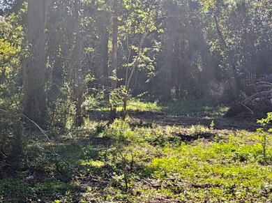 4710 Shadow Pond Ln, Alvin, TX 77511 - photo 7