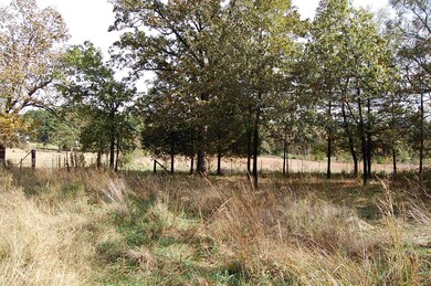 0 Mocha Ln, Epps Township, MO 63901 - photo 6