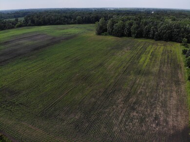 V/L 64th Ave, Paw Paw, MI 49079 - photo 4