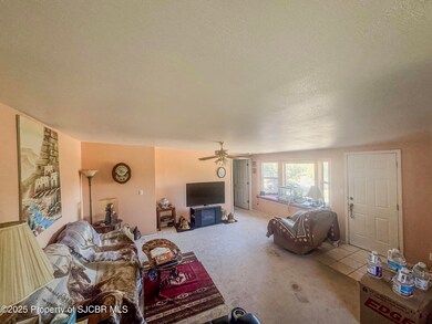 43 Road 3141, Aztec, NM 87410 - photo 6