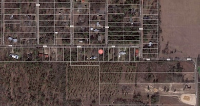 0 Chippewa Dr unit Pittsburg TX 75686, Pittsburg, TX 75686 - photo 3