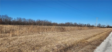 4803 NW Highway Dd, Urich, MO 64788 - photo 3