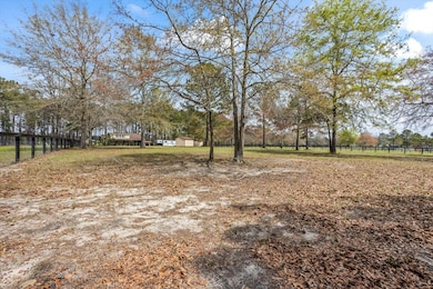 1030 Curb Chain Ln Windsor Trace SC (22)