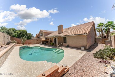 Beautiful Backyard