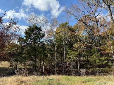 86 Summer Sky Dr, Greenbrier, AR 72058 - photo 2