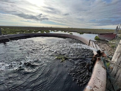 TBD Old Experiment Rd & Hwy 78, Burns, OR 97720 - photo 4