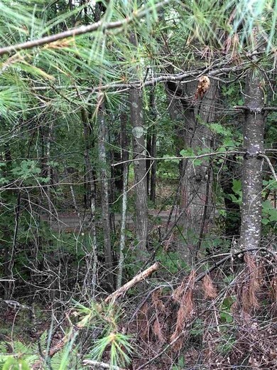 100 Bennington Depot Rd, Deering, NH 03244 - photo 2