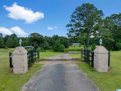 2877 Lamon Chapel Rd, Jasper, AL 35503 - photo 2