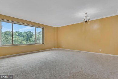 10570 Main St unit 509, Fairfax, VA 22030 - photo 2