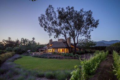 Syrah Vineyard and Cherimoya Orchard