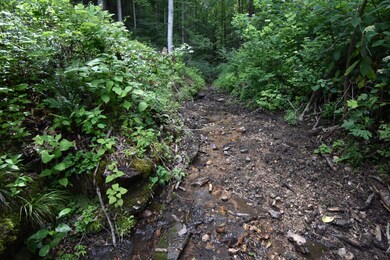 0 Highway 128 unit RTC2539766, Linden, TN 37096 - photo 7