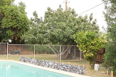 Back Yard & Pool Fence