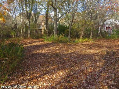 399 Middle Rd, Chilmark, MA 02535 - photo 2