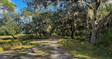 10193 Highway 60, Lake Wales, FL 33898 - photo 6