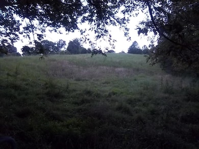 4726 Abednego Rd, Greenbrier, TN 37073 - photo 2