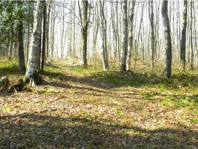 6340 Us Route 5, Sutton, VT 05867 - photo 5