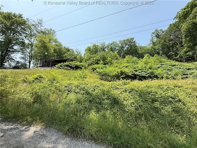 103 Pine St, Charleston, WV 25311 - photo 2