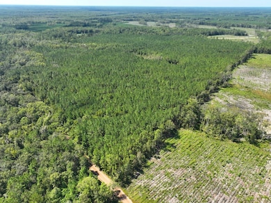 0 Buck Ln, Woodbine, GA 31569 - photo 2