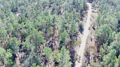 00 Monroe, Dunnellon, FL 34431 - photo 4