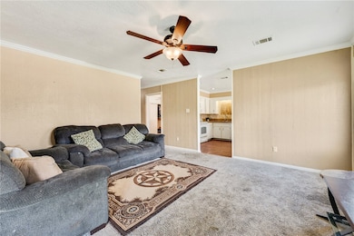 Carpeted living area featuring ceiling fan, orname