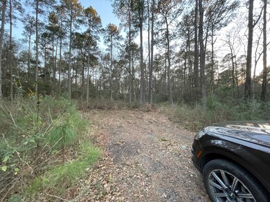 10311 Lake Dr, Willis, TX 77095 - photo 4