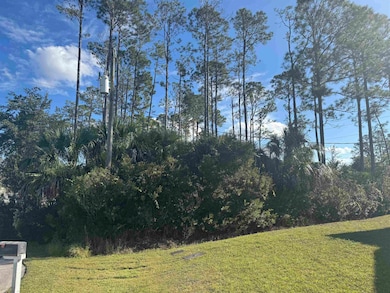 13 Random Place, Palm Coast, FL 32164 - photo 3