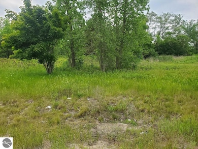 7201 E Pickard Rd unit 10, Mount Pleasant, MI 48858 - photo 5