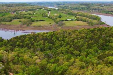 Tbd Catfish St & Drum St, Kissee Mills, MO 65680 - photo 4