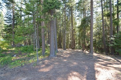 0 Bunker Rd, Ronald, WA 98922 - photo 7