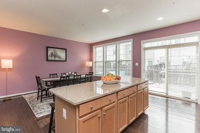 4741 Verdana Loop, Frederick, MD 21703 - photo 4