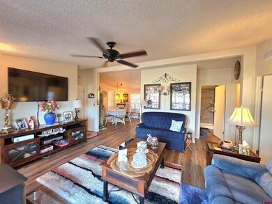 20020 Kenosha Rd, Austin, CO 81410 - photo 7