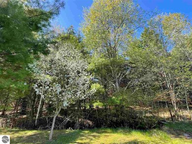 900 N Black Rd, Twining, MI 48766 - photo 6