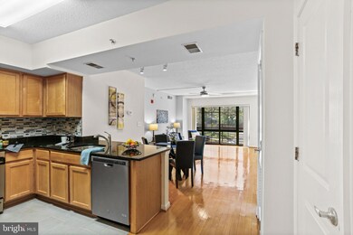 The Aurora Condominiums unit 208, Silver Spring, MD 20910 - photo 2