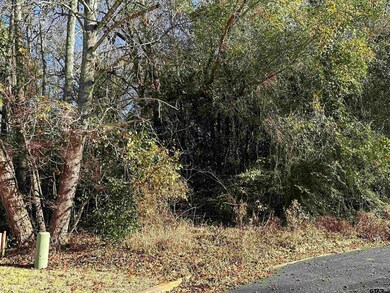 603 Steeple Ct, Tyler, TX 75703 - photo 4