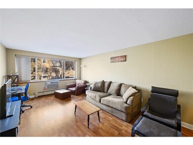 Large living room, Lots of natural light