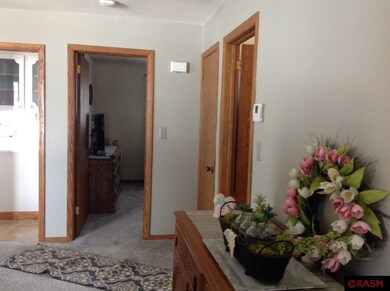 315 N Franklin St, New Ulm, MN 56073 - photo 7