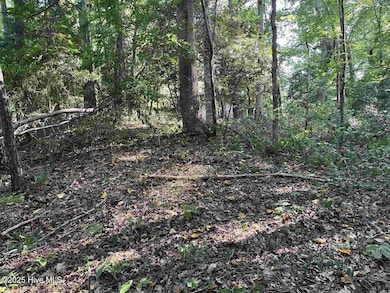 0 Country Canyon Dr, Cordova, NC 28379 - photo 7